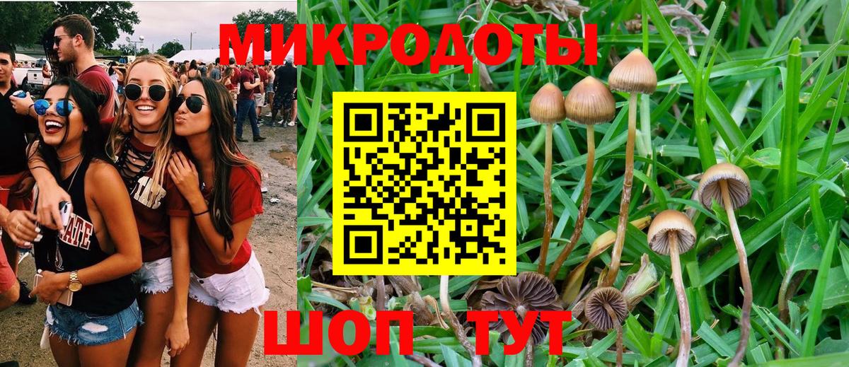 Александров  Псилоцибиновые грибы Cubensis  Галлюциногенные грибы мицелий  Вход с VPN 